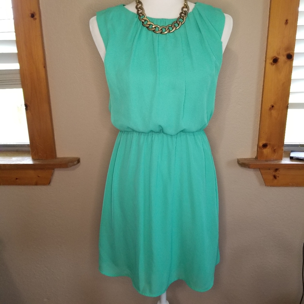NWT Francesca's Dress